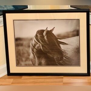 Framed Horse Art Print
